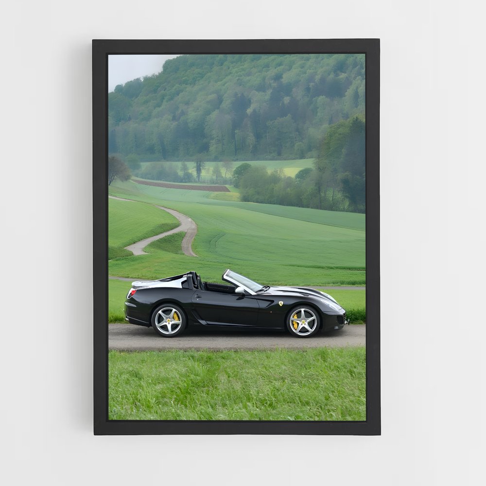 Poster Ferrari Sauvage (vue 2)